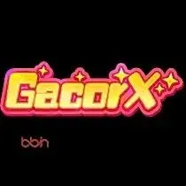 Panduan Lengkap Aplikasi gacorx untuk Pemula dan jawabet88: Rangkuman Brand yang Banyak Dicari